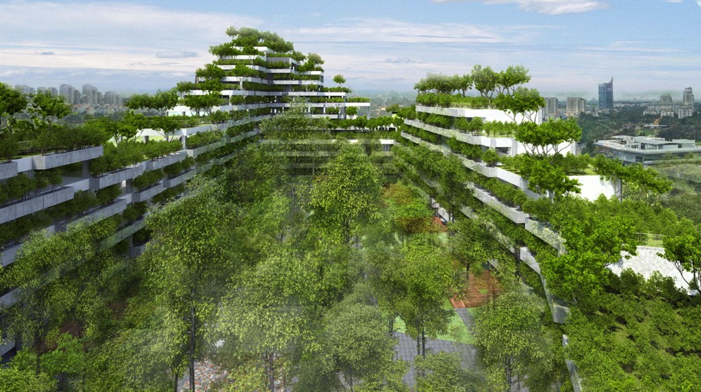 KHÔNG GIAN XANH CỦA CHO TRƯỜNG ĐẠI HỌC TƯƠNG LAI