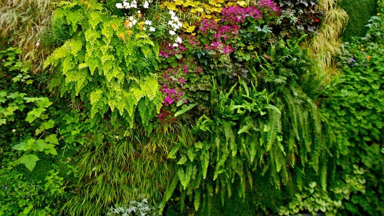 Những vật liệu xây dựng xanh, thân thiện với môi trường đang được ưa chuộng trên thế giới