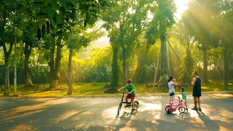 Cây xanh trong thiết kế cảnh quan