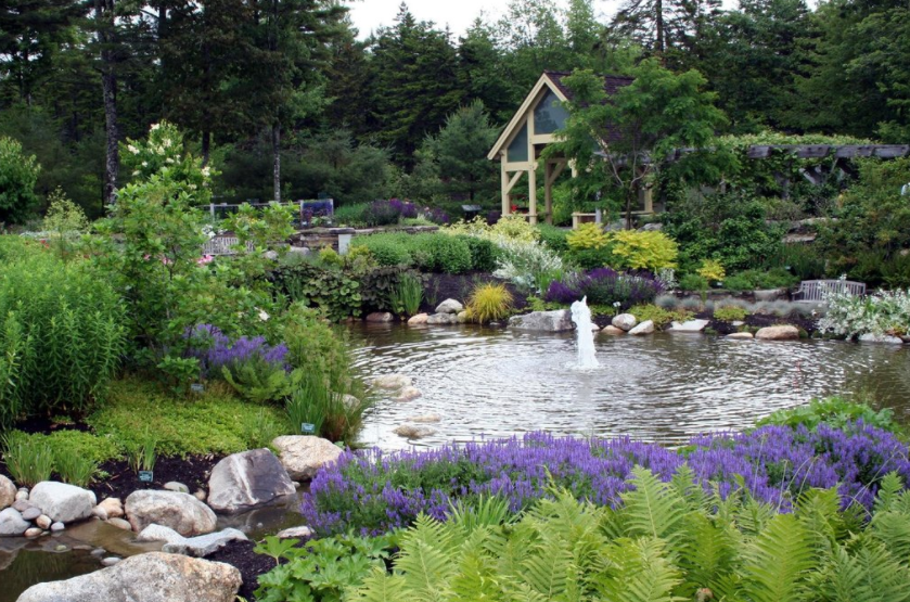 Vườn thực vật Costal Main Botanical Gadens