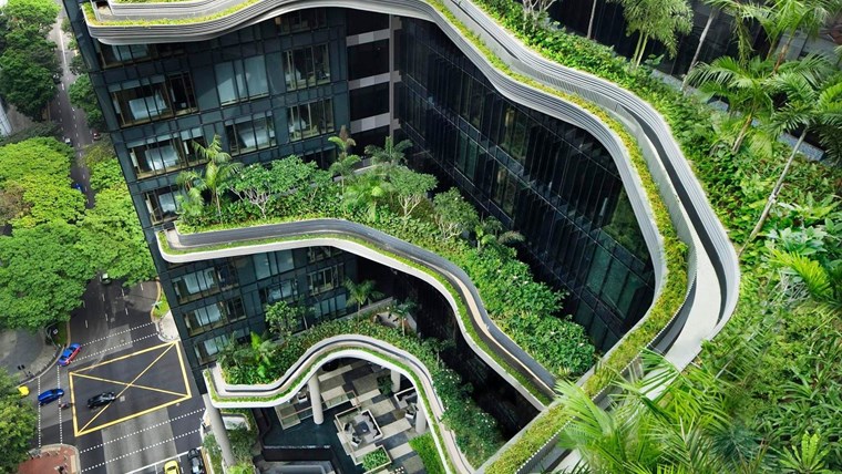Xu hướng thiết kế Biophilic Design - sống cùng với thiên nhiên