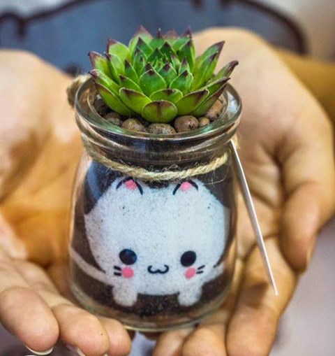 sen đá phật bà