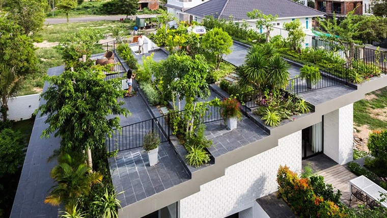 Những lợi ích của vườn trên mái