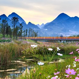 Dự án Liupanshui Minghu Wetland Park  / Turenscape