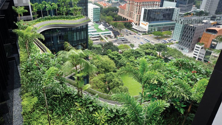 Kỹ thuật thi công vườn trên mái với tấm thoát nước PlanterCell
