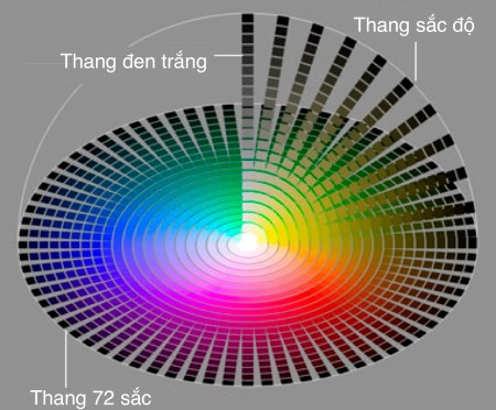 Bí mật của màu sắc