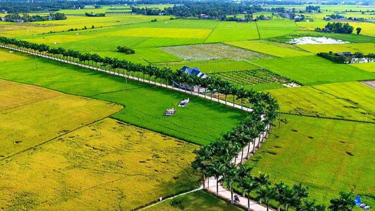 Bi kịch của sự phát triển không bền vững đến kiến trúc nông thôn Việt Nam