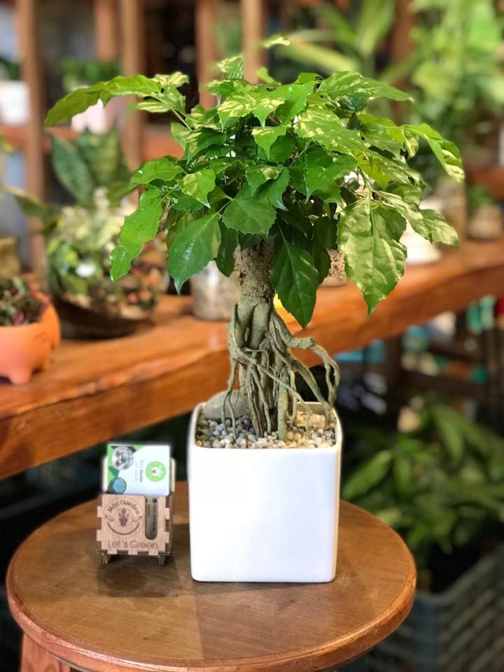 hạnh phúc