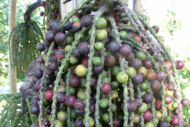 đủng đỉnh