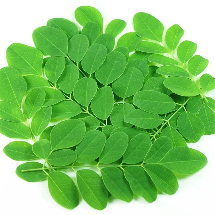 chùm ngây