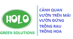 HOLO_xanh