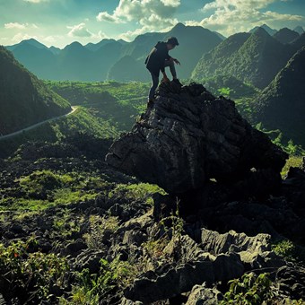 Đào Việt