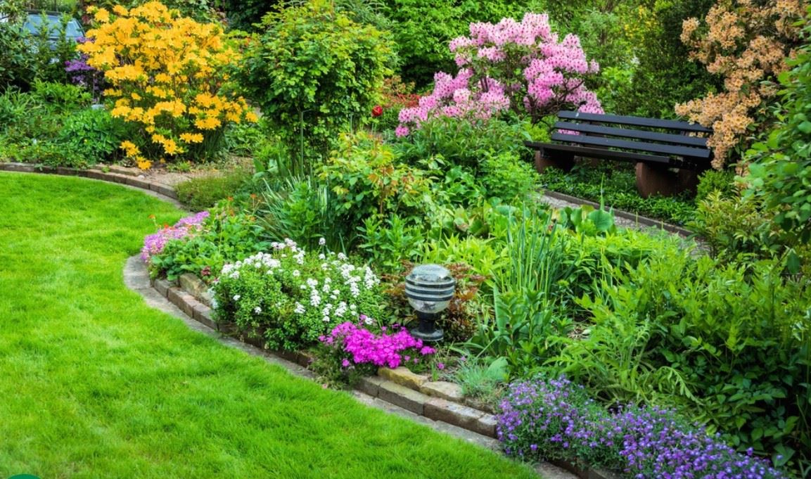 Tổng hợp các loài cây bụi phù hợp với mọi loại hình cảnh quan ( Phần 1)