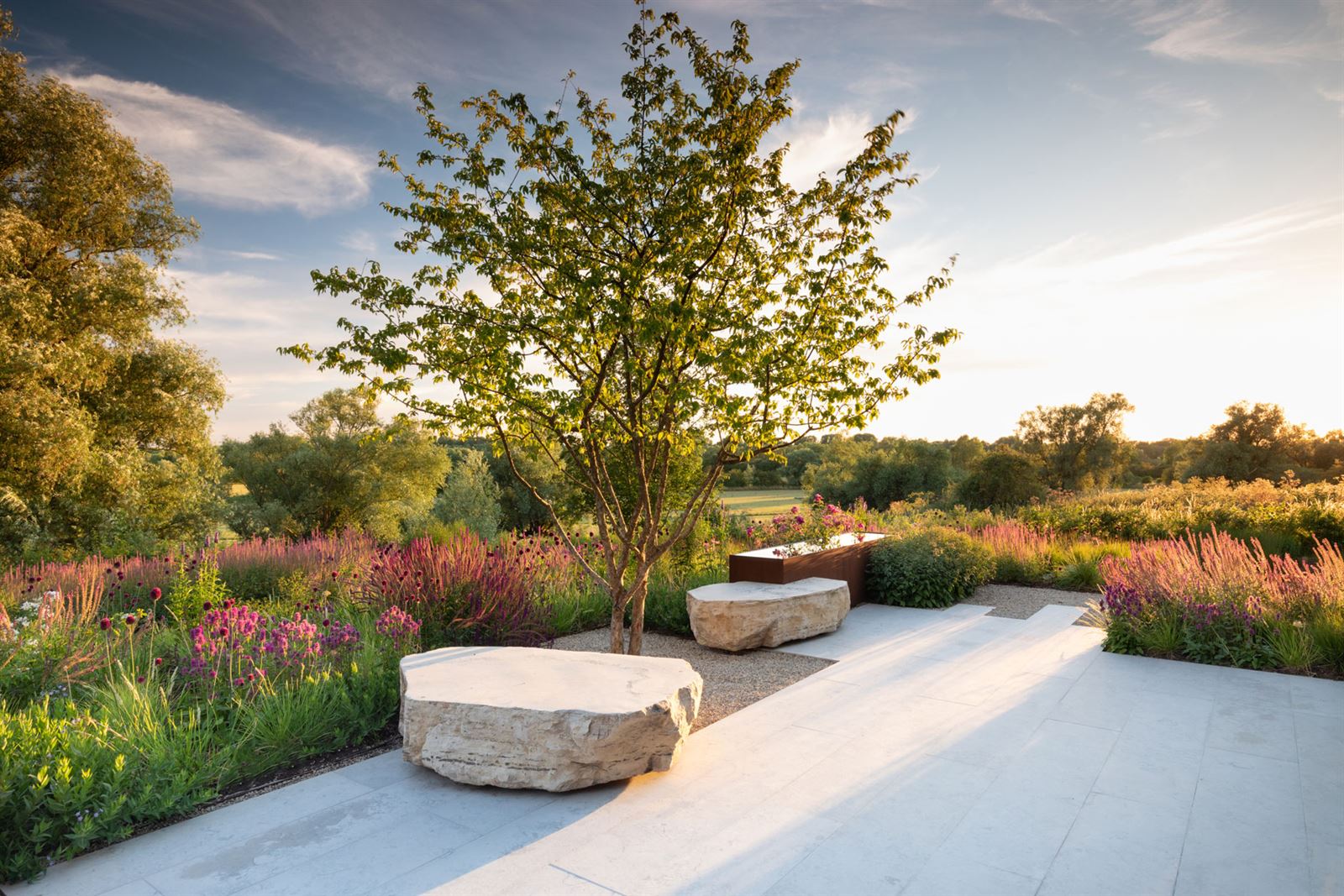 Cambridgeshire garden / Colm Joseph Gardens