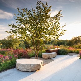 Cambridgeshire garden / Colm Joseph Gardens
