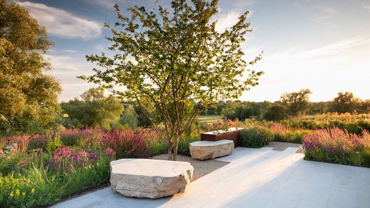 Cambridgeshire garden / Colm Joseph Gardens