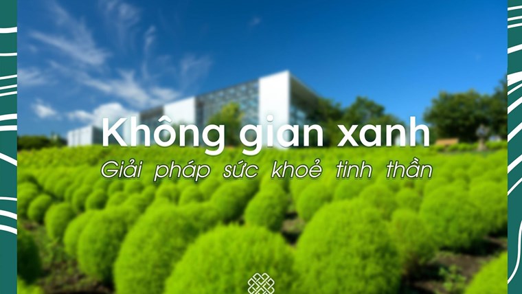Không gian xanh: Liều thuốc tự nhiên cho tâm hồn hiện đại