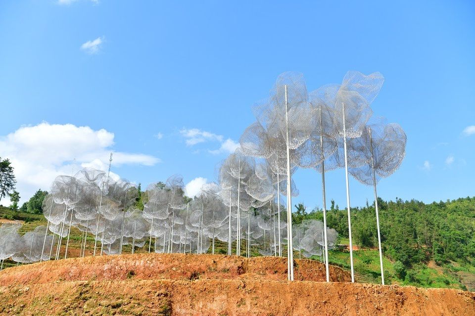 Mây Pha Lê trên đồi Mâm Xôi, Mù Cang Chải 2018