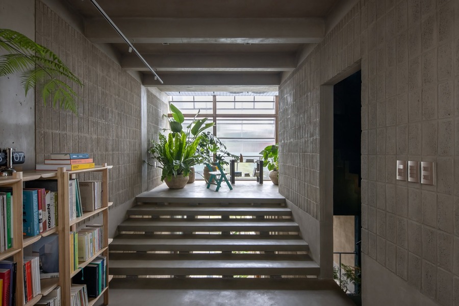 Mảng xanh tại khu đọc sách và cầu thang trong Lá-Sách House
