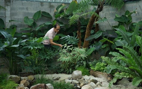 Silver Cloud Landscape — vườn nhiệt đới nhiều tầng và hồ bơi sinh học