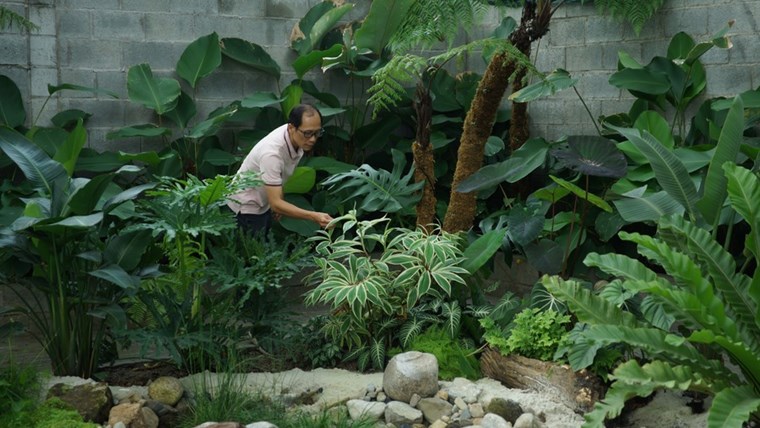 Silver Cloud Landscape — vườn nhiệt đới nhiều tầng và hồ bơi sinh học