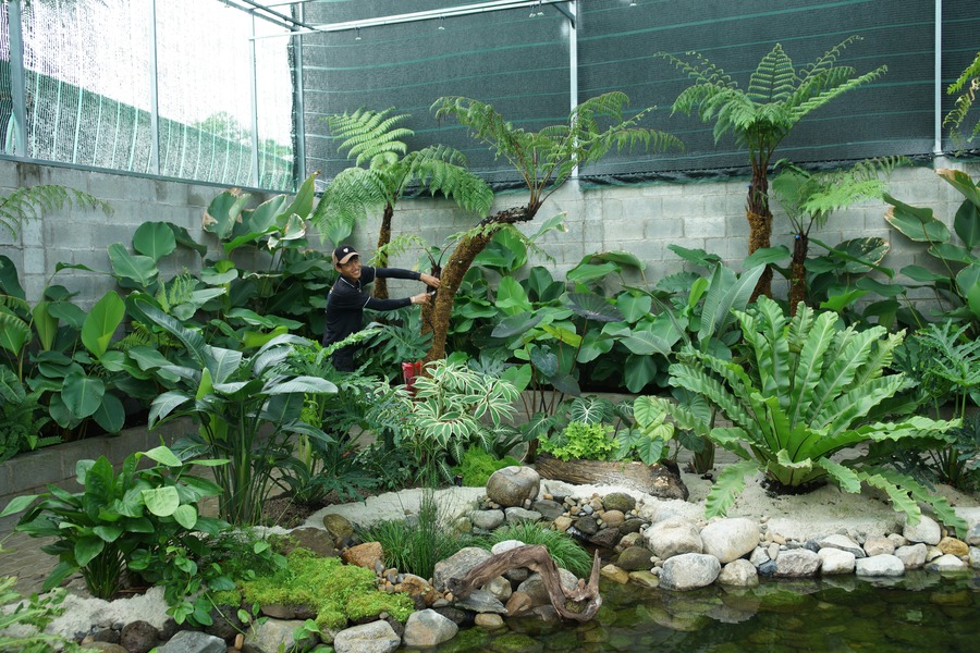 Đá tự nhiên xếp thủ công quanh mép bể sinh học