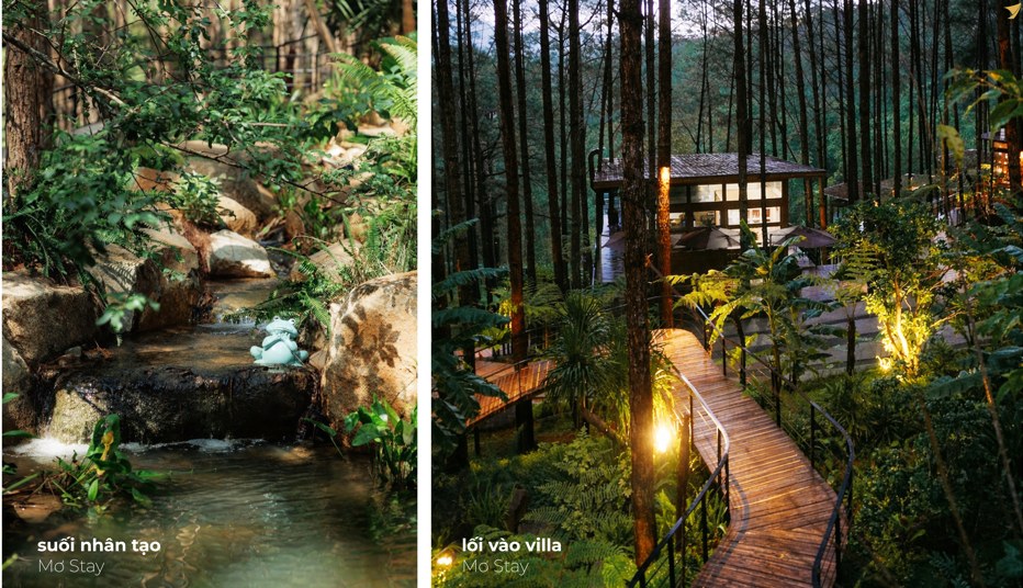 Suối nhân tạo và lối gỗ vào villa tại Mơ Stay, Đà Lạt do SGL thiết kế
