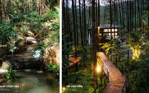 SGL Vietnam — văn phòng cảnh quan của vườn Nhật và resort giữa rừng thông