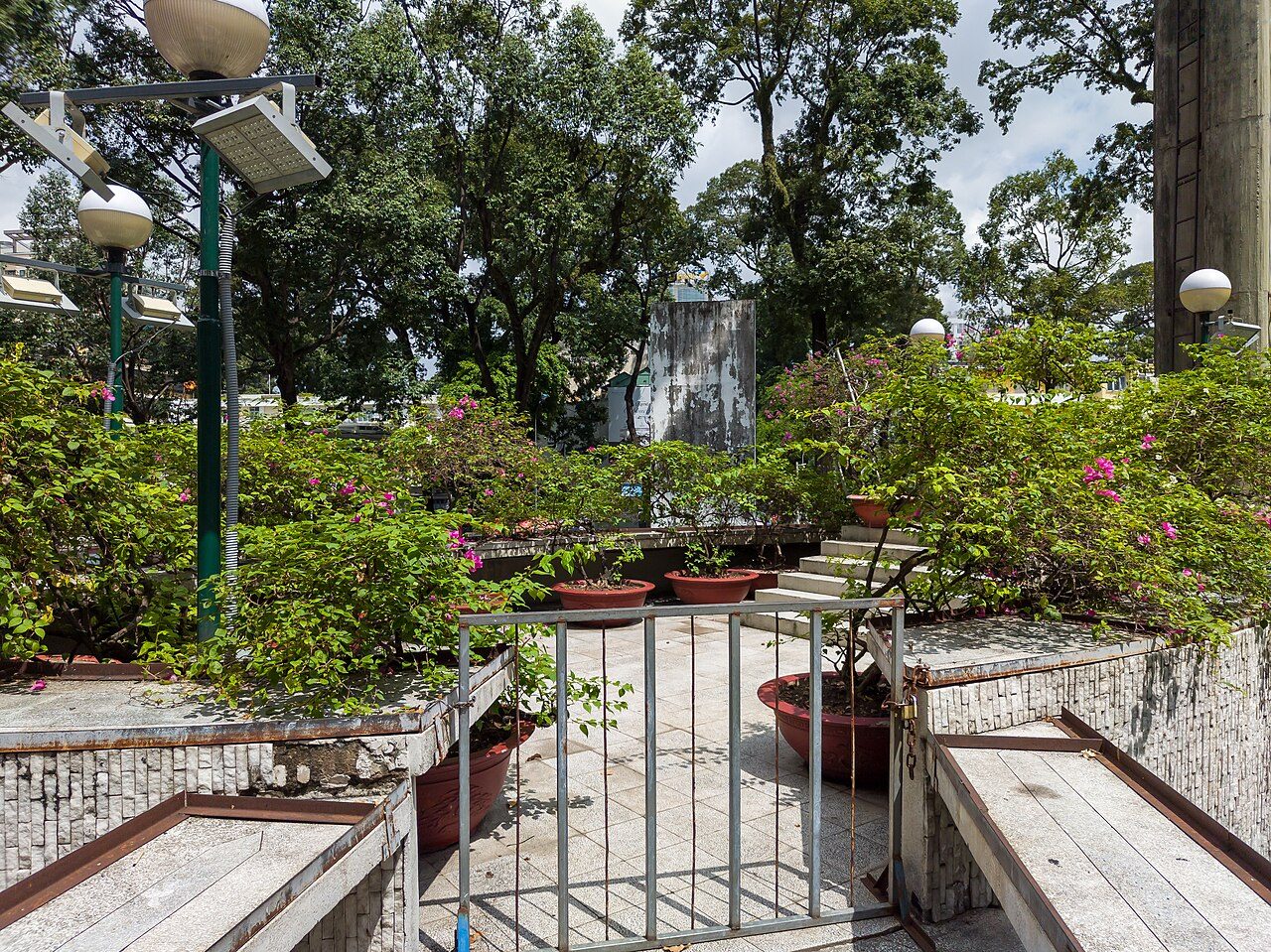 Hàng cây xanh trên đường phố Quận 3, TP. Hồ Chí Minh