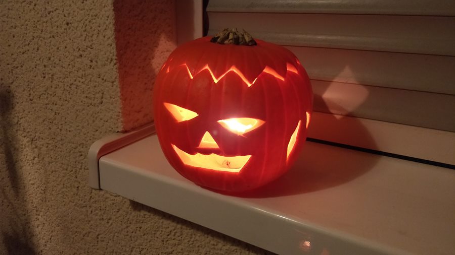 QUẢ BÍ NGÔ — Vì sao Halloween không thay nó bằng thứ khác được?