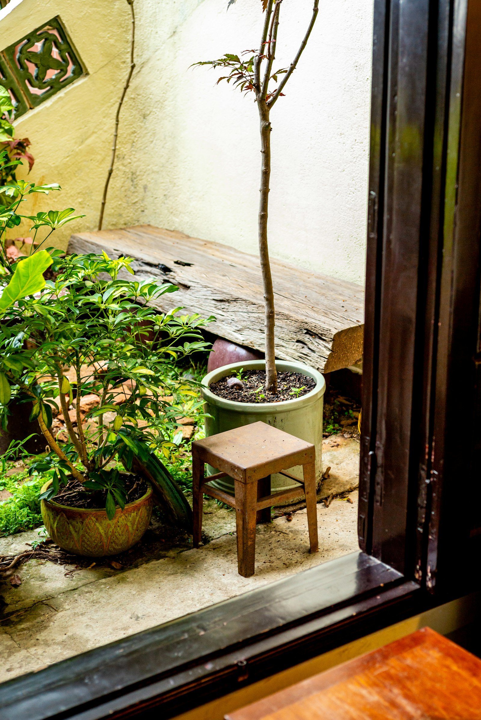Góc sân nhỏ với cây trồng chậu bên khung cửa