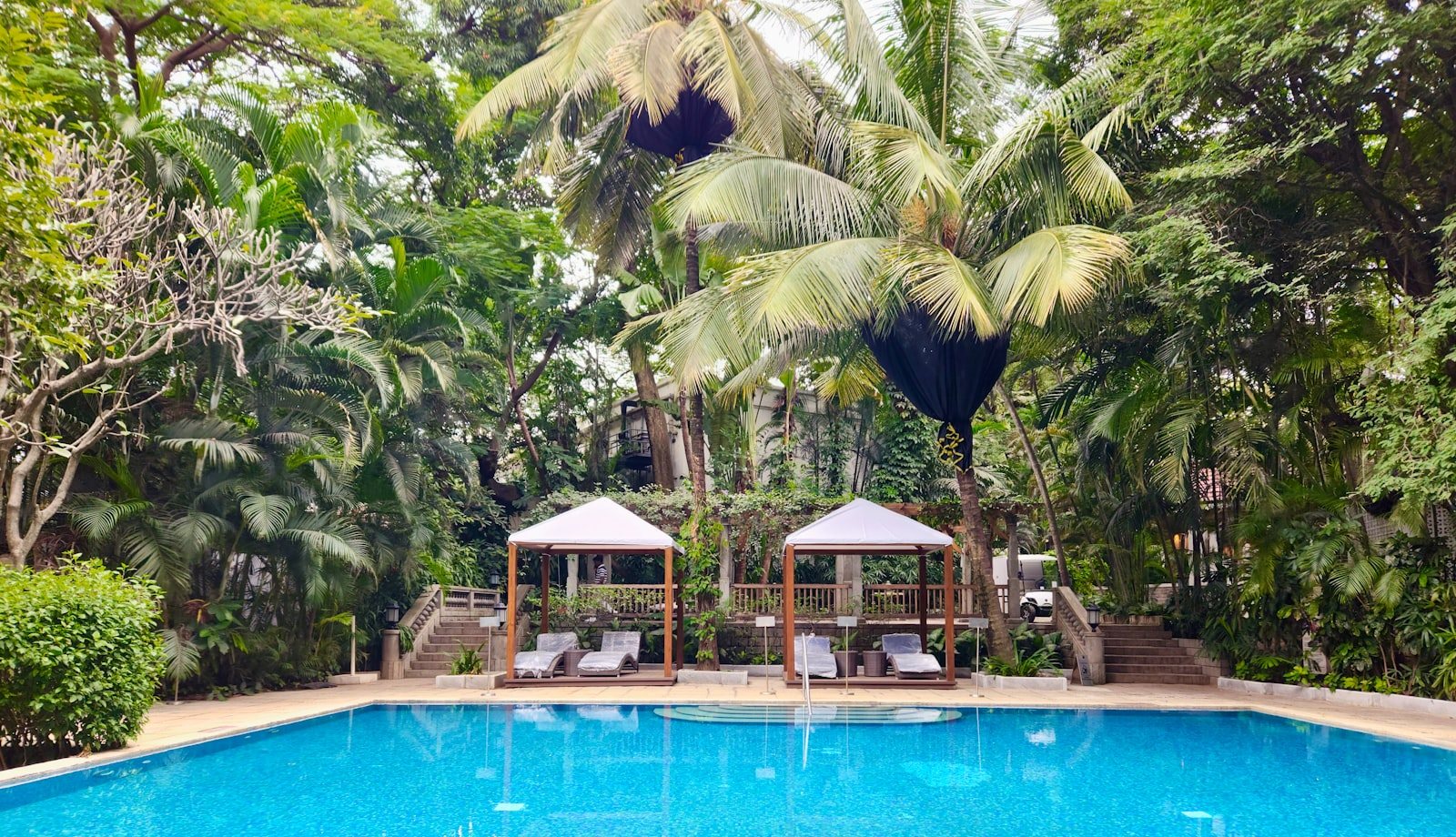 Hồ bơi resort với hàng dù che và ghế nằm dưới bóng dừa