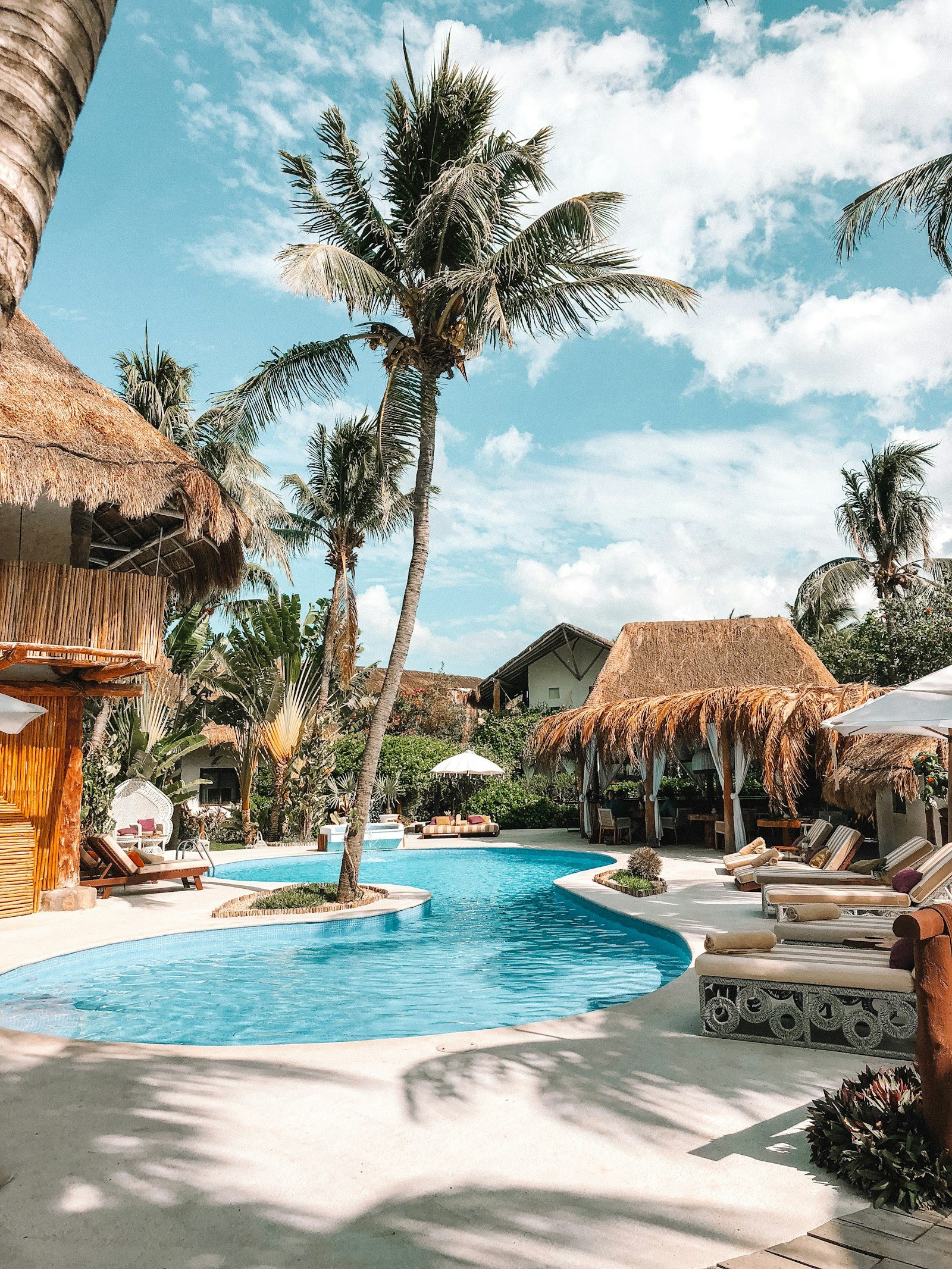 Hồ bơi resort với nhà mái tranh và hàng dừa