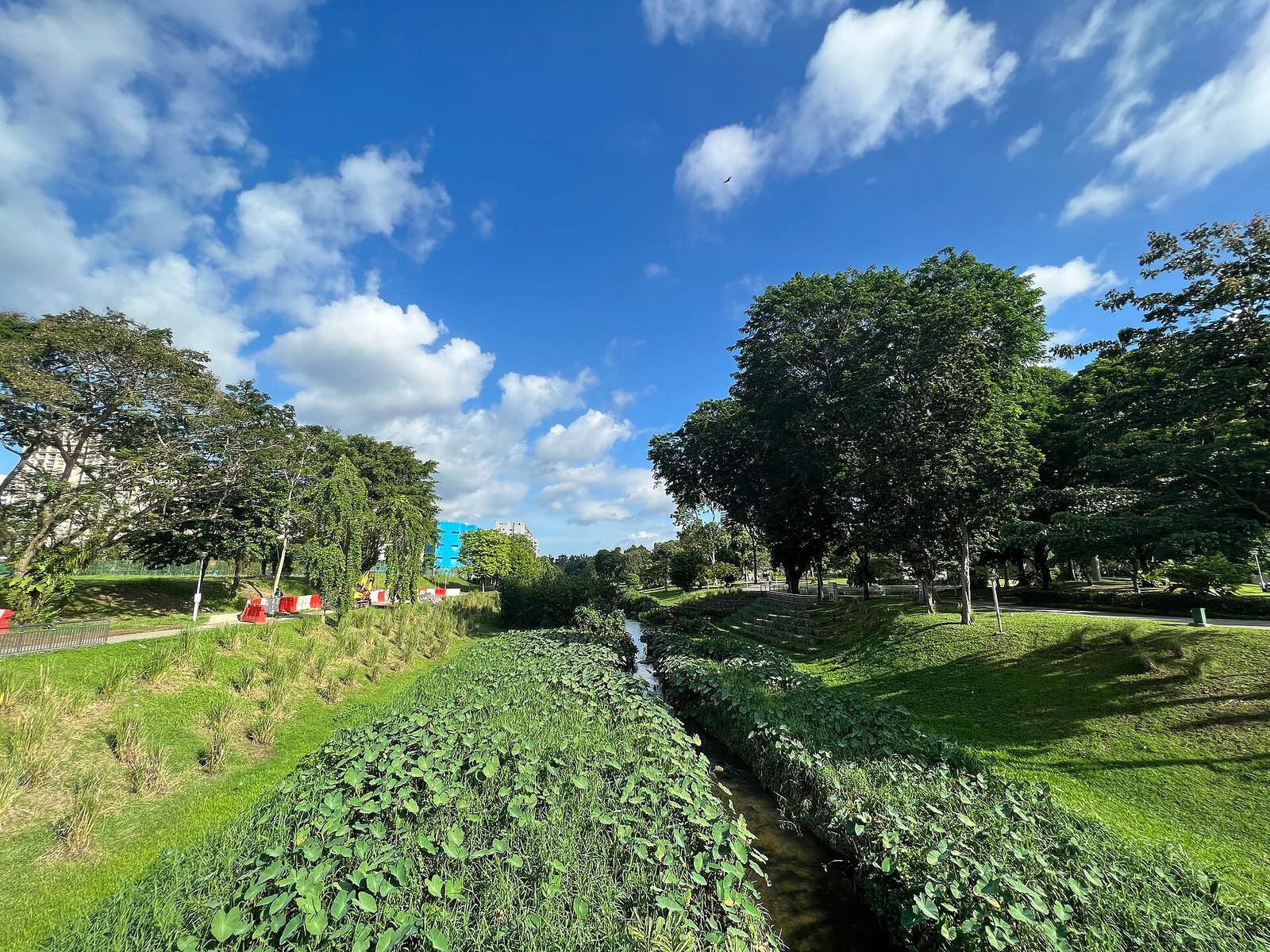 Dòng sông tự nhiên hóa chảy giữa công viên Bishan-Ang Mo Kio Singapore, bờ cỏ thoải và cây xanh hai bên