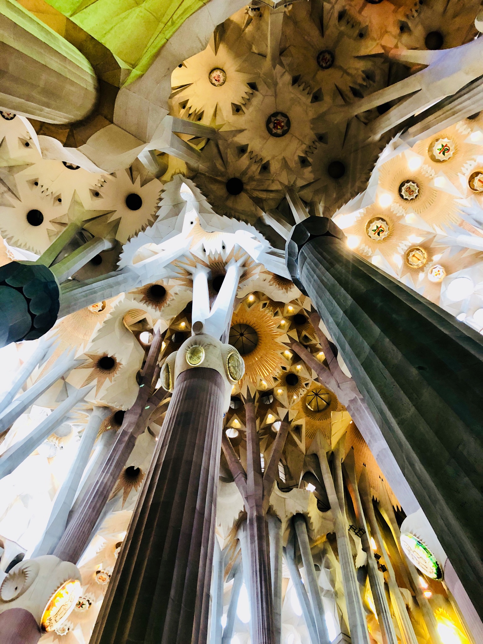 Rừng cột đá phân nhánh đỡ trần hoa văn hình sao bên trong Sagrada Família, nhìn từ dưới lên