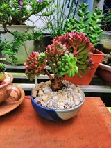 Hoàng Công Duy