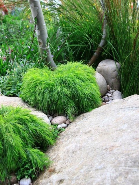 Mini Land