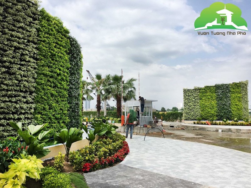 MẢNG XANH ĐỨNG MINIGARDEN