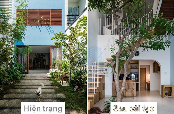 Nhà cũ, diện mạo mới: Giải pháp hoàn hảo cho ngôi nhà của bạn