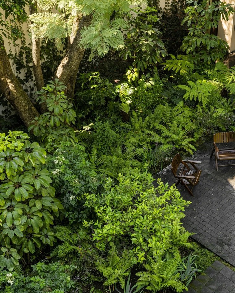 PEDREGAL’S LAVA GARDEN BỞI ESTUDIO OME
.
Dự án vườn tận dụng đá đen địa phương để tạo ra những lối đi giữa thảm thực vật nảy mầm, tạo ra những con đường nhỏ và nền sân nhỏ. Bằng cách tạo ra trải nghiệ...