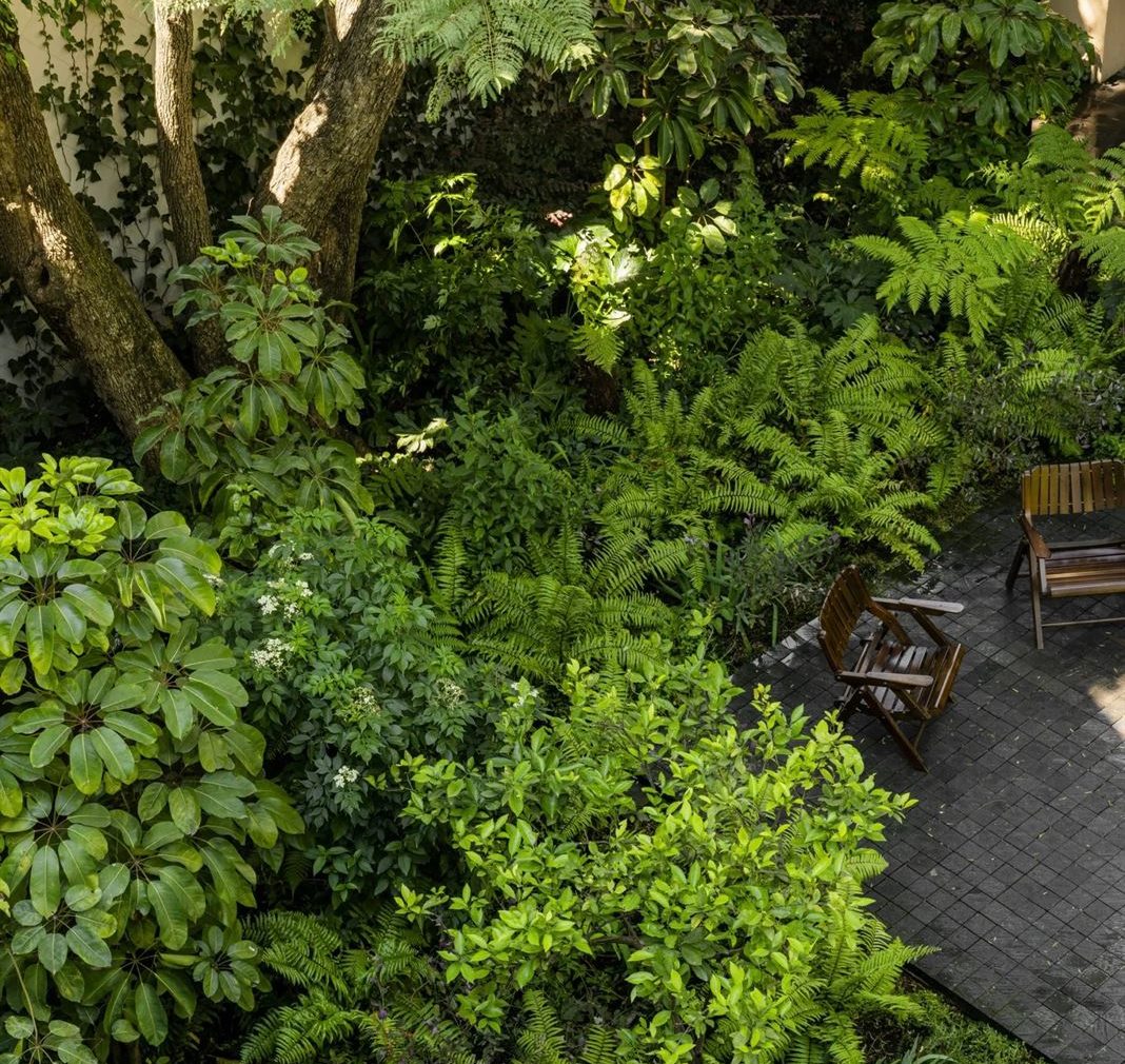 PEDREGAL’S LAVA GARDEN BỞI ESTUDIO OME
.
Dự án vườn tận dụng đá đen địa phương để tạo ra những lối đi giữa thảm thực vật nảy mầm, tạo ra những con đường nhỏ và nền sân nhỏ. Bằng cách tạo ra trải nghiệ...