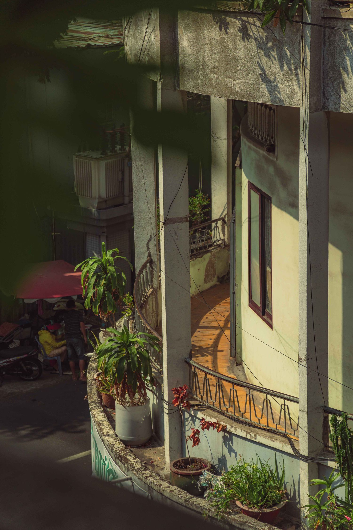 Nhà phủ cây trong đô thị Việt Nam: giữa hình ảnh và hiệu quả đo được