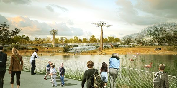Sở thú Saint Petersburg.  Quang cảnh savana châu Phi.  Tín dụng: TNplus