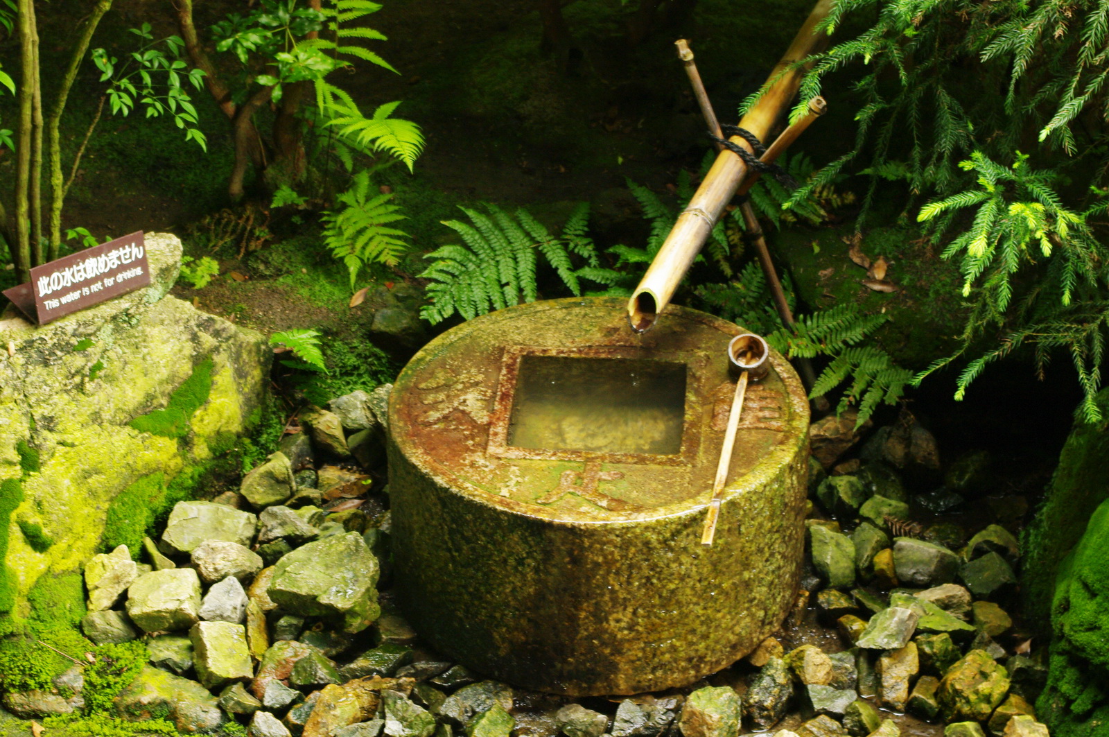 Tsukubai ở chùa Ryoan-ji Kyoto khắc bốn chữ ngô duy tri túc, ống tre dẫn nước và gáo tre đặt ngang miệng chậu