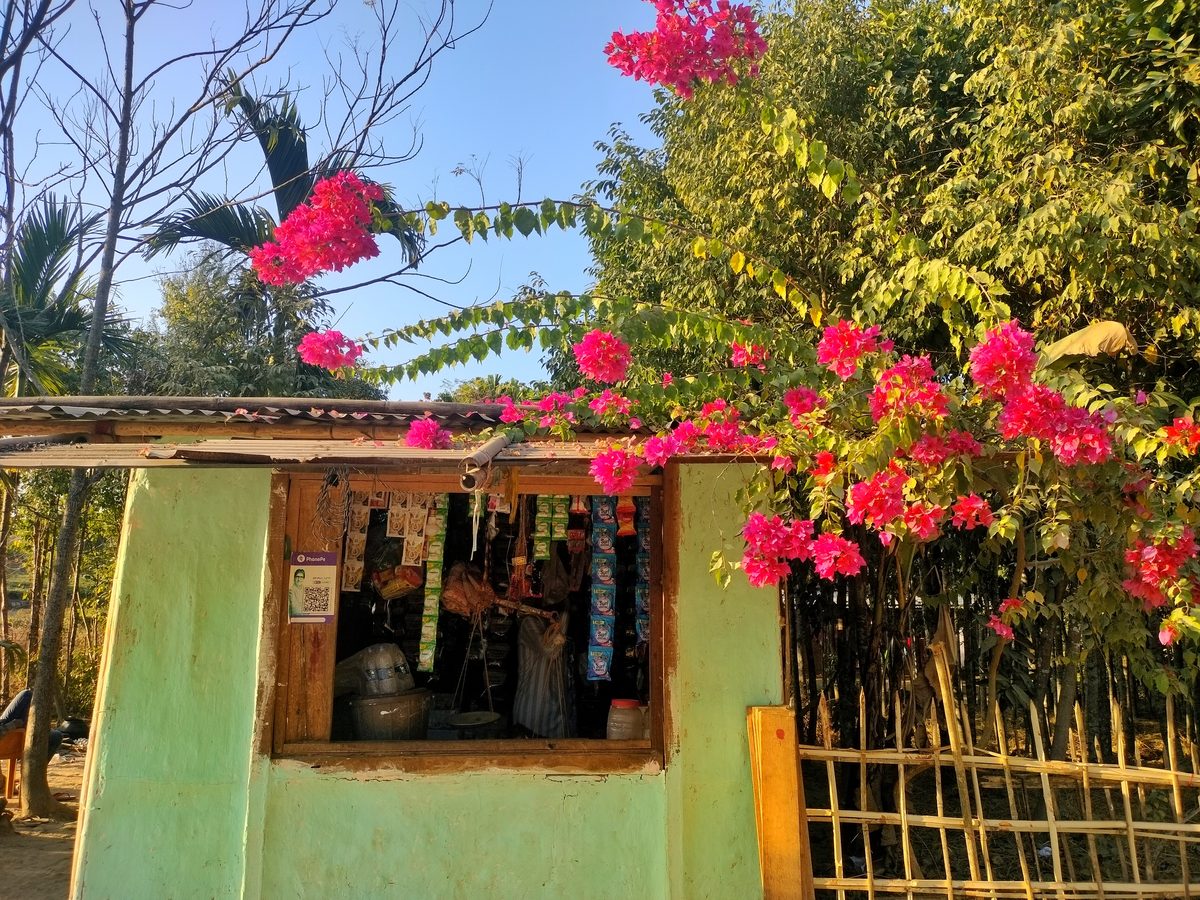 Hoa giấy (Bougainvillea)