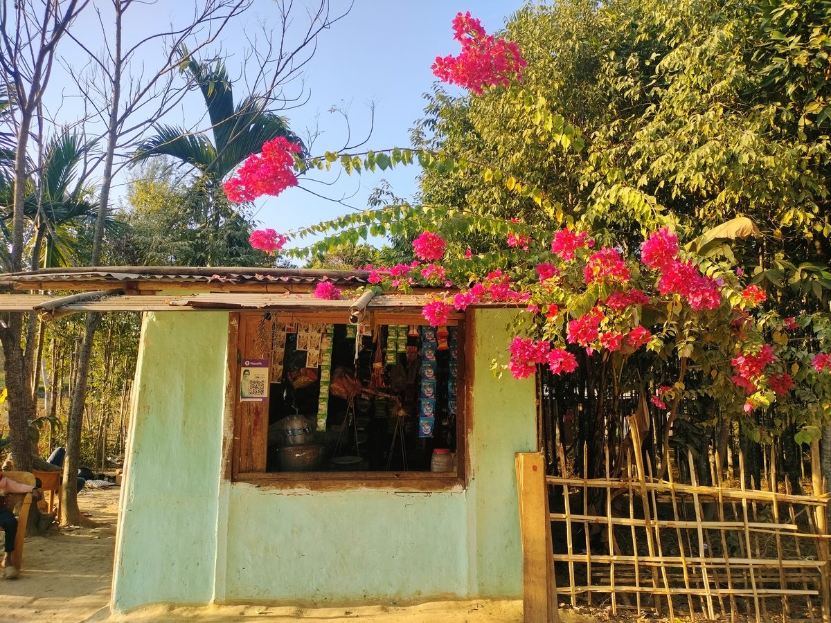 Hoa giấy (Bougainvillea)