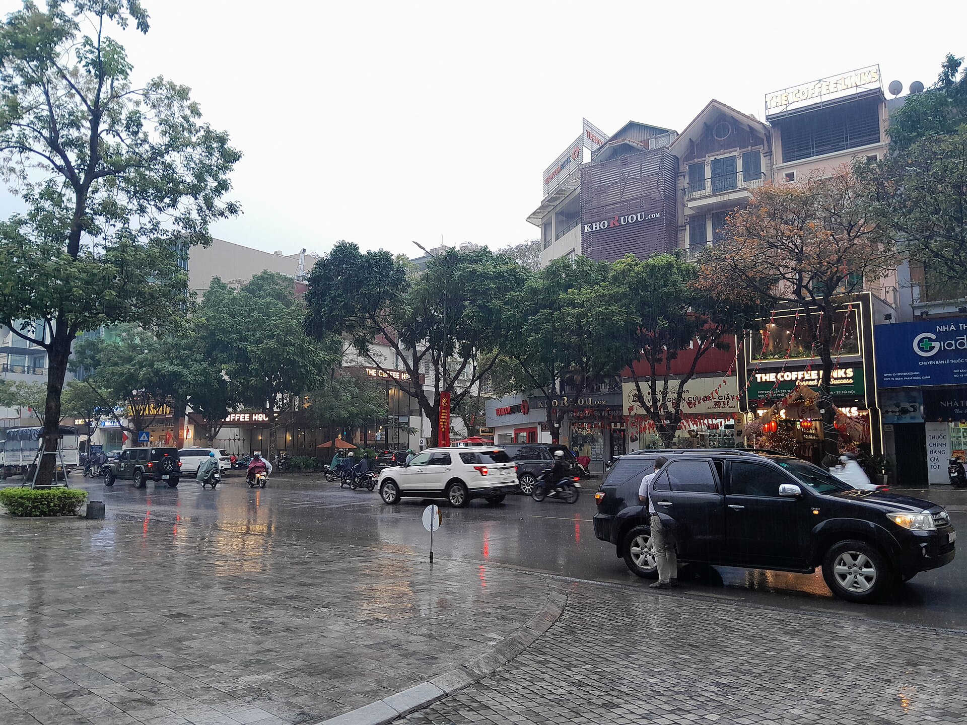 Mặt đường phố ướt sũng sau một trận mưa rào, nước đọng thành vũng, hàng cây bên đường còn nhỏ giọt