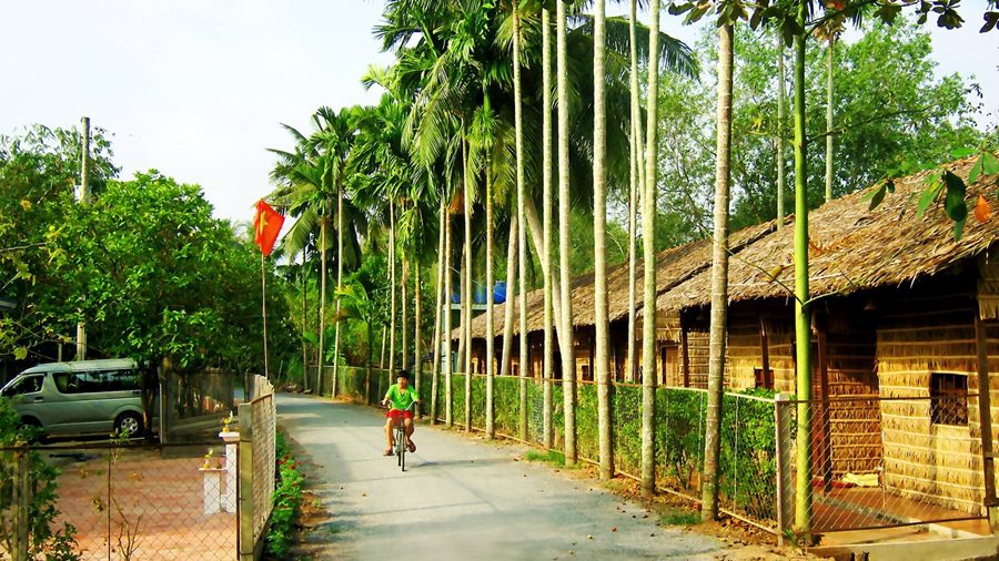 Kỹ thuật trồng và chăm sóc cây cau ta