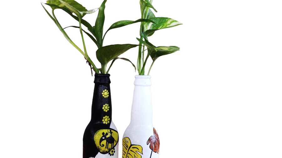 4 Yếu tố cốt lõi trong chăm sóc cây cảnh để bàn