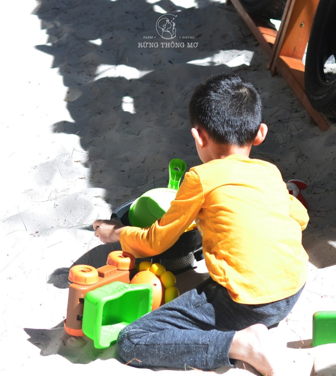 Một bé trai áo vàng ngồi chơi xe đồ chơi trên mặt cát có bóng lá in xuống